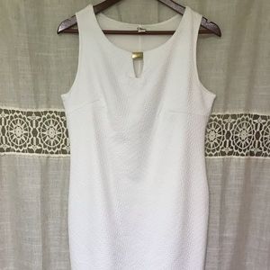 Cato | Little White Dress